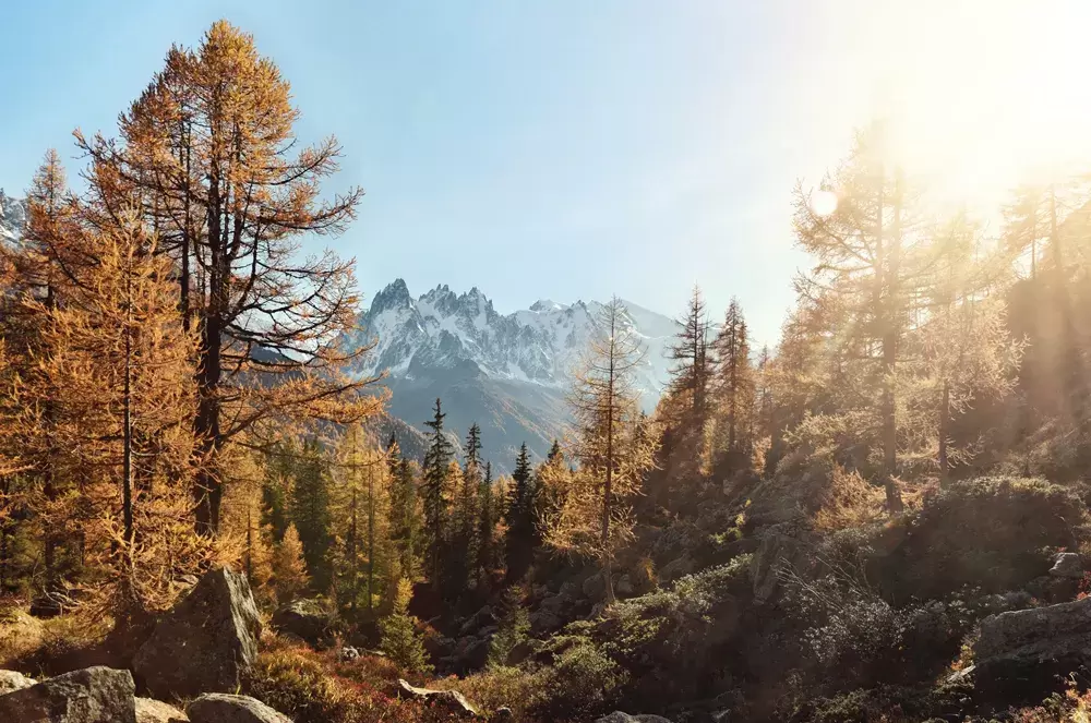 Idée de lieu à Chamonix en automne devant le Mont Blanc pour un élopement dans les Alpes