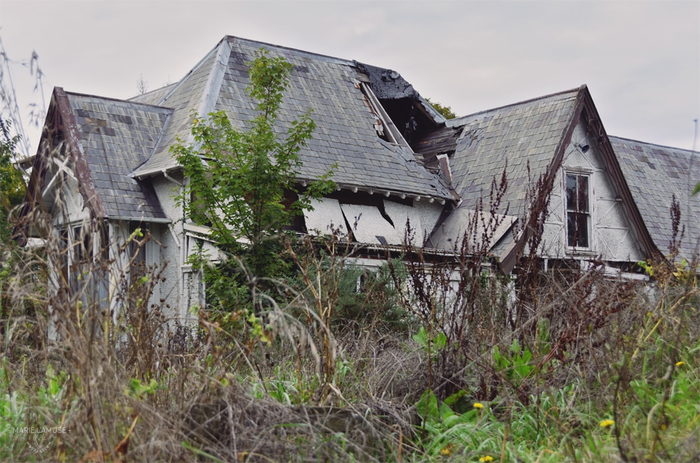 Maison abandonnée à Christchurch