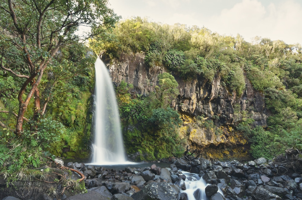 Dawson falls (Taranaki) / Nouvelle Zélande, avril 2017