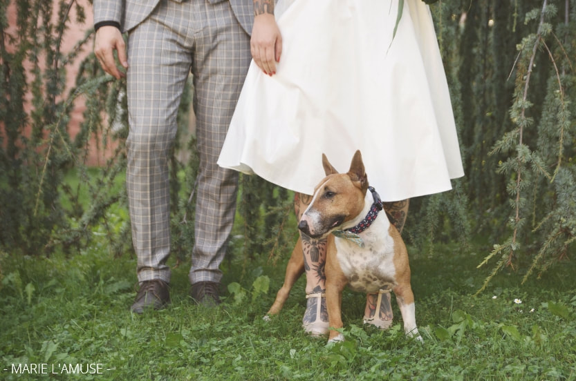 Mariage, Couple, Ozzy le chien bull terrier devant les pieds des mariés, Marignier Haute Savoie 2019, Photographe Marie l'Amuse
