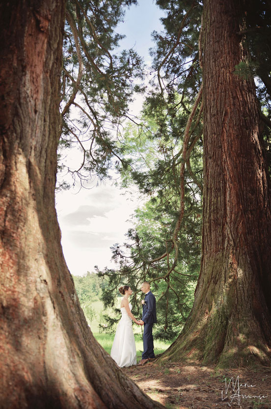 Idée d'élopement ou mariage intime : échange de voeux du couple en forêt au milieu des sequoias par Marie l'Amuse photographe