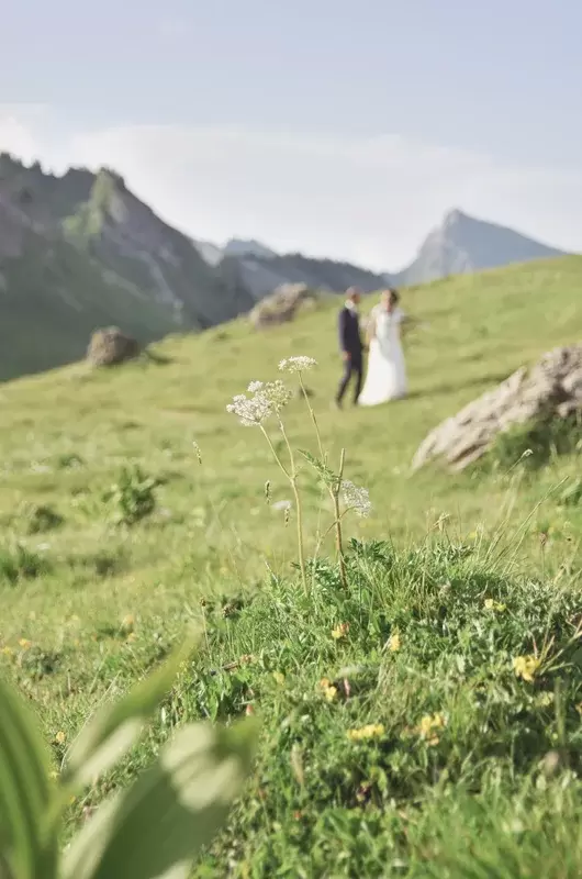 Le couple marche devant les montagnes dans un champ en fleur lors d'un elopement eco friendly