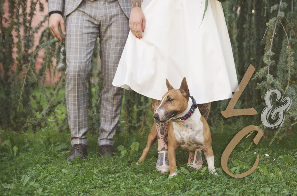 Mariage, Couple, Ozzy le chien bull terrier devant les pieds des mariés, Marignier Haute Savoie 2019, Photographe Marie l'Amuse